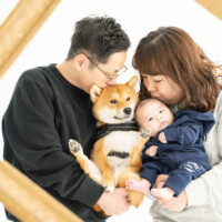ペット写真